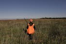 A young hunter walks a state wildlife management area in southern Minnesota.