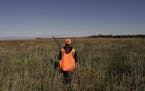 A young hunter walks a state wildlife management area in southern Minnesota.