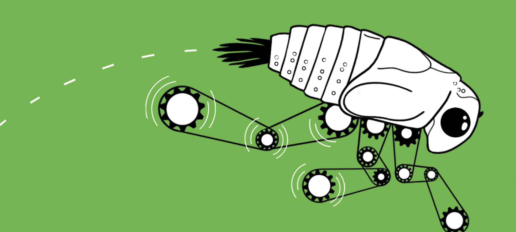 A plant-hopping insect has joints that work like interlocking gears, a new study reports, the first known instance of coglike wheels in nature. (Chris Gash/The New York Times) -- NO SALES; FOR EDITORIAL USE ONLY WITH STORY SLUGGED SCI WATCH BY SINDYA BHANOO. ALL OTHER USE PROHIBITED. --