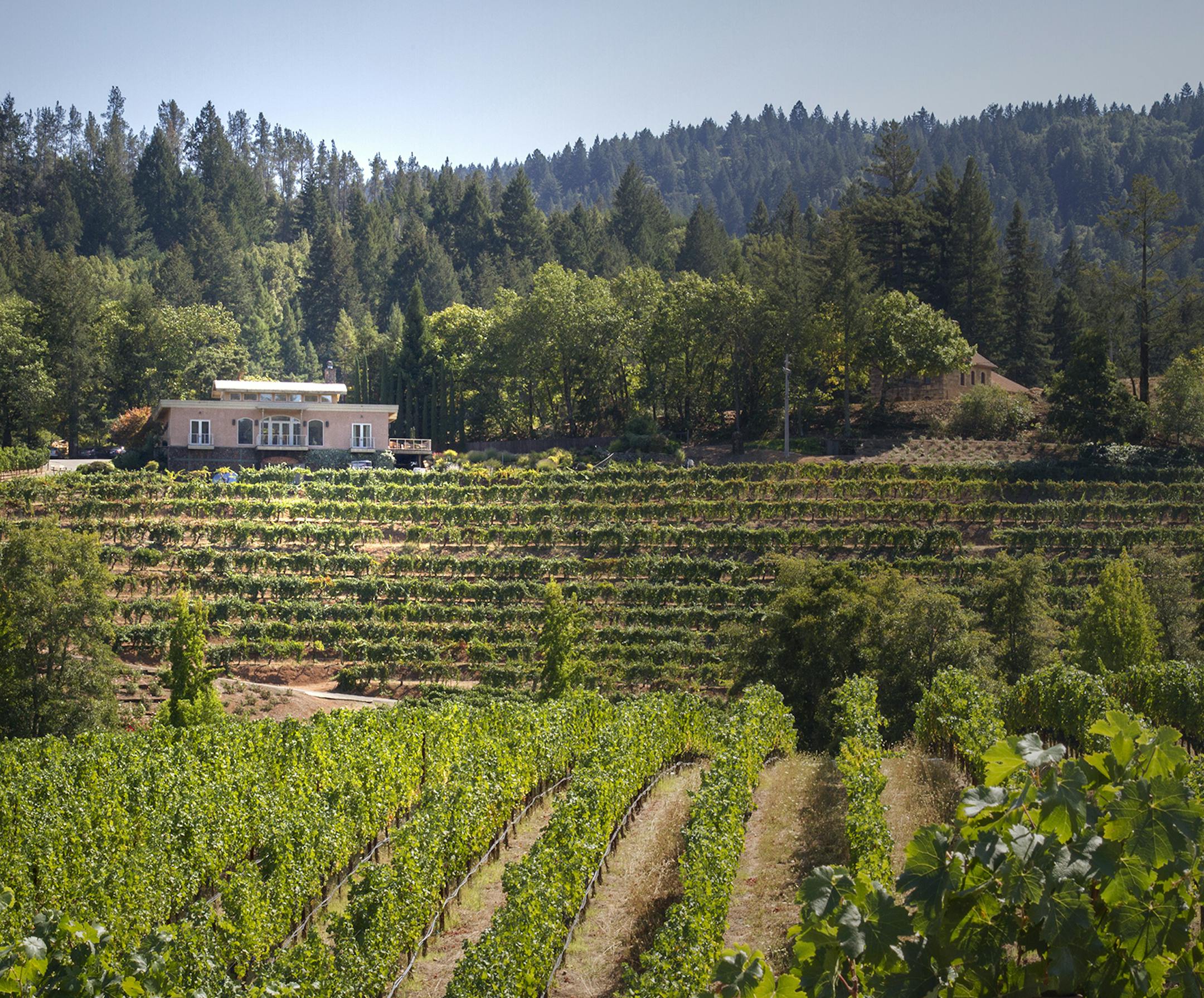 Volcanic Hill and Red Rock Terrace.