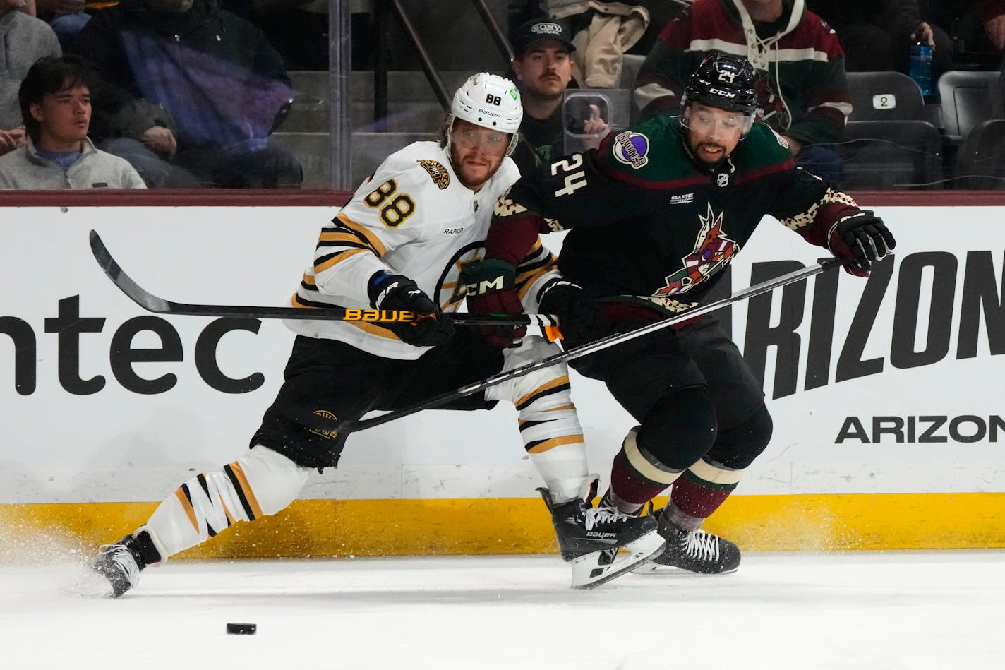 Boston Bruins right wing David Pastrnak (88) and Arizona Coyotes defenseman Matt Dumba (24) battle for the puck during the first period of an NHL hockey game Tuesday, Jan. 9, 2024, in Tempe, Ariz. (AP Photo/Ross D. Franklin)