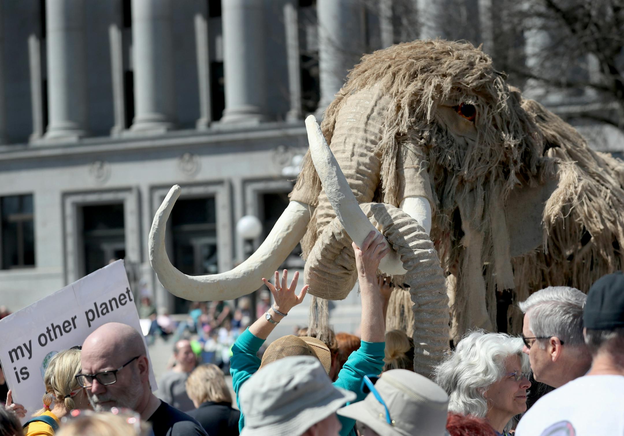 March for Science moved from the start at Cathedral Hill Park to State Capitol, with an estimated 10,000 or more joining to champion the role of science in American life. Here, members of the woolly crew carry Keke the mammoth during the March for Science near the State Capitol Mall Saturday, April 22, 2017, in St. Paul, MN.