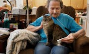 Sadie, a rescue cat, snuggles up to Marjorie Wood, 81, who lives with her son Alex Talon, who also is his mother’s caregiver.