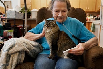 Sadie, a rescue cat, snuggles up to Marjorie Wood, 81, who lives with her son Alex Talon, who also is his mother’s caregiver.