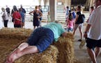 A fairgoer takes a breather outside the cattle barn at the Minnesota State Fair, Monday, Aug. 25, 2014 in Falcon Heights, Minn. (AP Photo/Jim Mone)