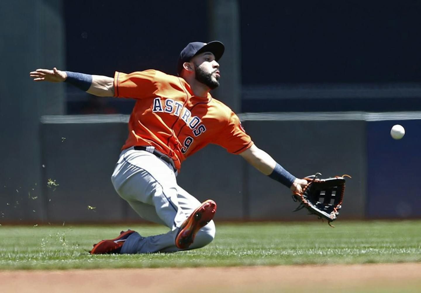 Marwin Gonzalez