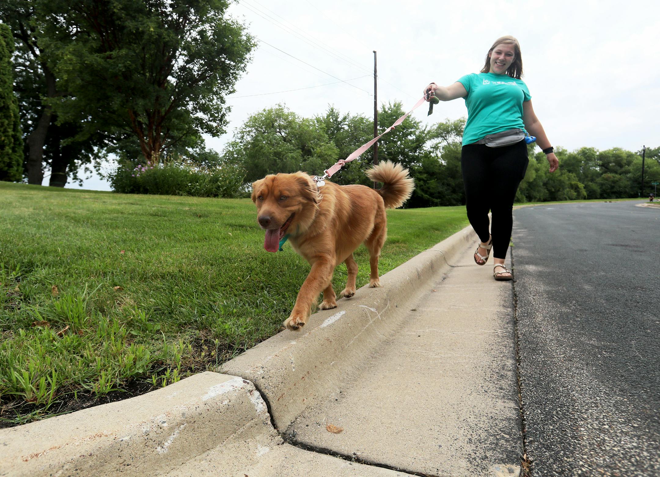 Claire Barczak is a 21 year old dog walker who works for the dog app Wag two days a week. On any given day, she can walk as many as 16 miles a day, going from one dog to the next. Here, Barczak walked Chloe, a one-year-old retriever mix, Wednesday, Aug.1, 2018, in Edina, MN.] DAVID JOLES &#xef; david.joles@startribune.com Dogs now have their own app. Like Urber and Lyft, the new app puts mobile dog walking and pet care services at pet owners' fingertips.**Claire Barczak,cq