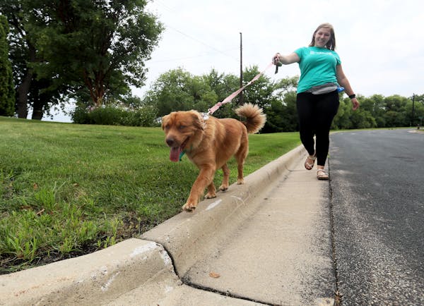 Claire Barczak is a 21 year old dog walker who works for the dog app Wag two days a week. On any given day, she can walk as many as 16 miles a day, go
