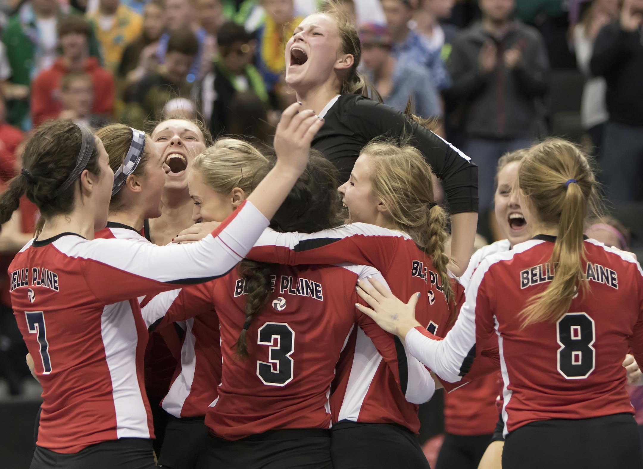 Belle Plaine celebrates a victory over Stewartville and a bid in the 2015 MSHSL Volleyball finals as the Belle Plaine Tigers faced the Stewartville Tigers in the Class 2A volleyball semifinals. ] MATT BLEWETT ï matt@mattebphoto.com Special to Star Tribune - November 13, 2015, St. Paul, MN, Belle Plaine High School, Stewartville High School, 2015 MSHSL Volleyball Tournament, Belle Plaine Tigers vs Stewartville Tigers, 951076 PREP.2avol
