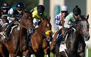 Jockey Jareth Loveberry, center in mask, rode Summer Assault to victory in the Mystic Lake Derby at Canterbury Park.