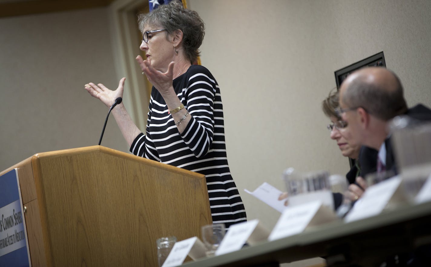 Mary Morrison talked during a panel discussion on access and affordability in prescription drugs at Fairview Southdale Hospital in Edina.