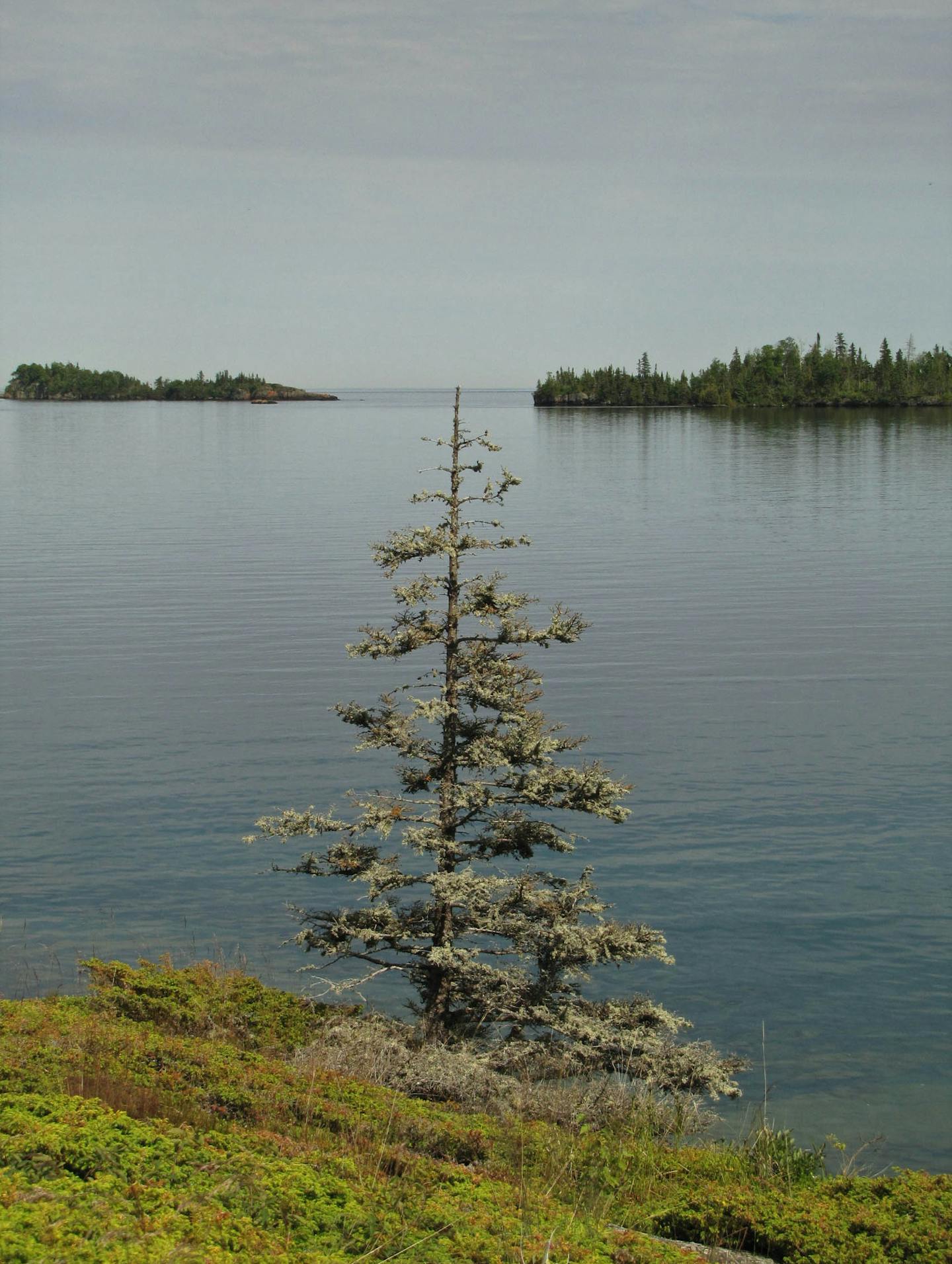 Isle Royale&#x2019;s Rock Harbor trail runs by the water, offering views of the eponymous harbor. There are 165 miles of trails and 36 campgrounds on the island.