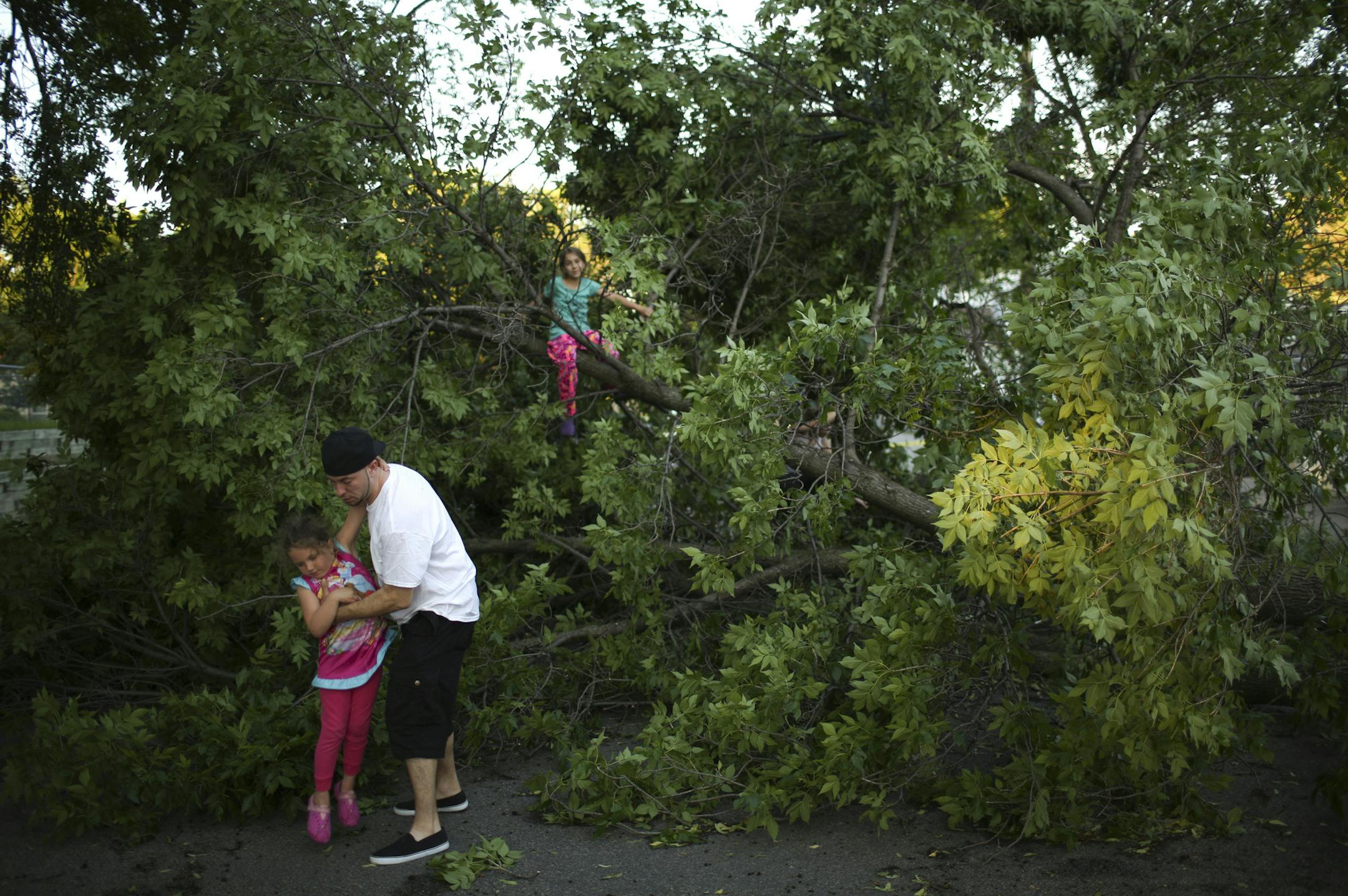 Brief but strong winds blew a tree down in south Minneapolis during a squall Sunday night, June 16, 2013. Greg Miller set his daughter, Madi, down after lifting her out of the tree that had fallen across E. 34th St. near their home Sunday evening. His other daughter, Luci, was next. He was mowing his lawn a block away when the wind came out of nowhere, he said, and blew things off the table in their back yard and then just as quickly it was over with. ] JEFF WHEELER ‚Ä¢ jeff.whe