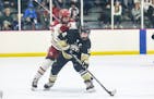 Gavyn Thoreson of Andover, shown controlling the puck against Maple Grove during a February game, leads a productive Huskies line into Class 2A state 