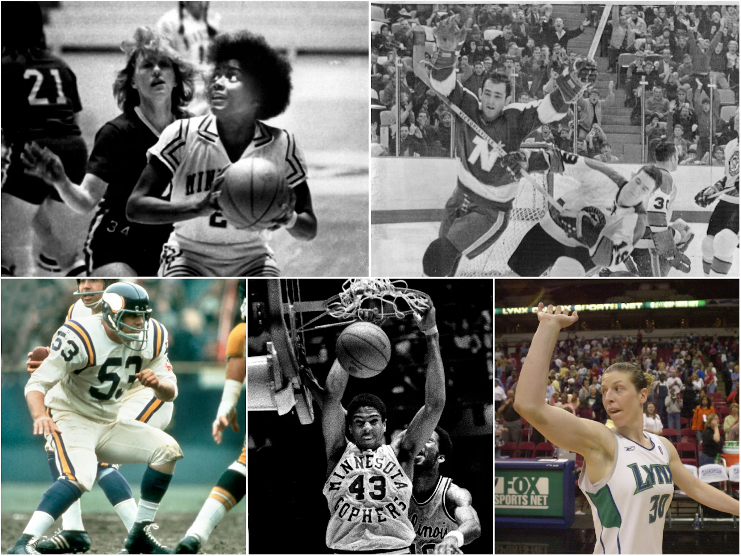 Linda Roberts, Scott Studwell, Lou Nanne among 10 with Big Ten ties ...