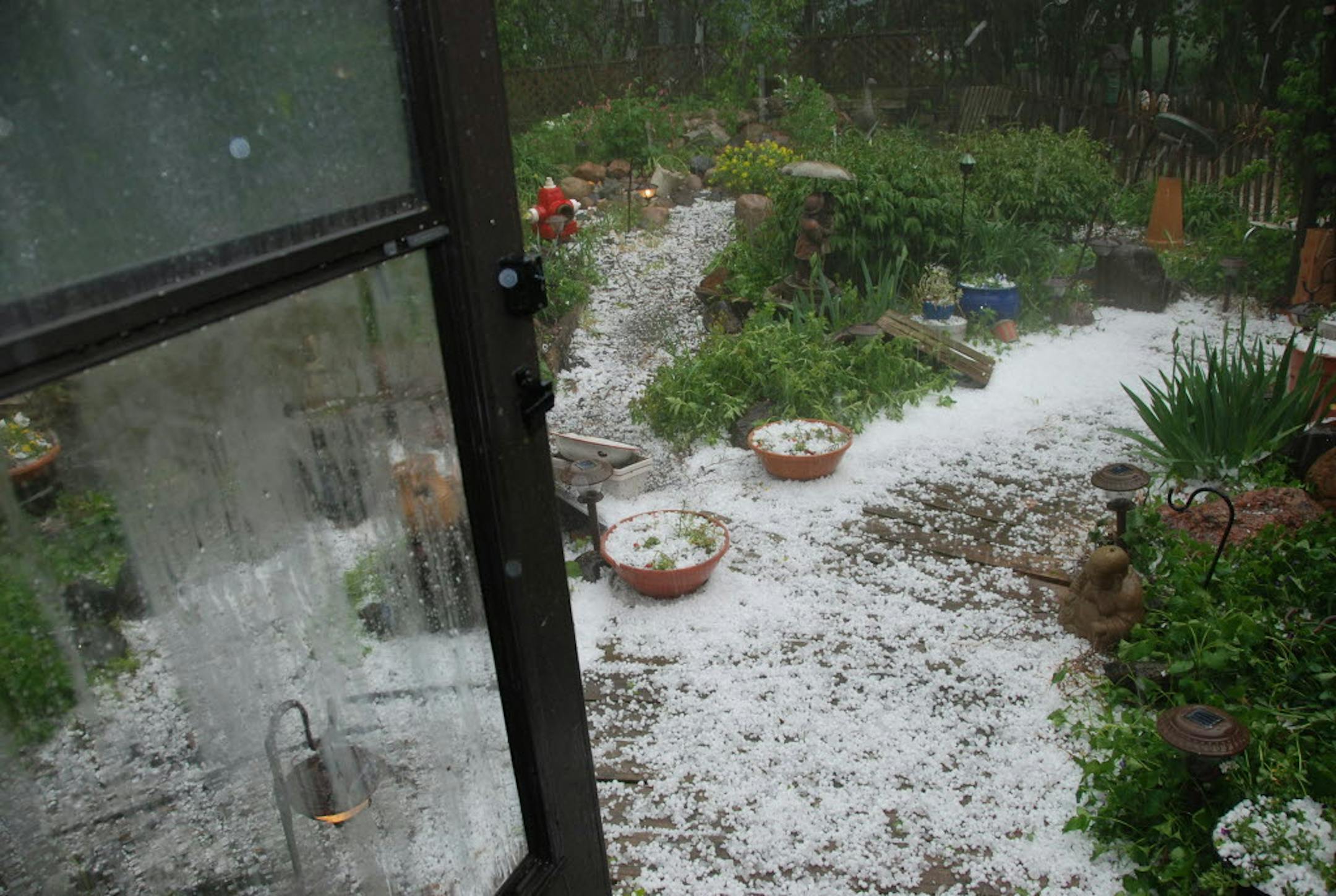 Hail accumulated in a backyard garden near Albertville after the May 25 storm.