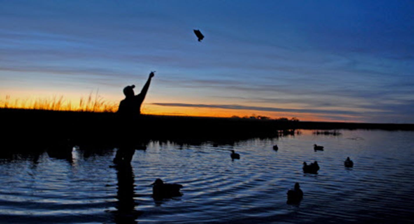 Duck plan — what duck plan? For eight years under the administration of commissioner Tom Landwehr, the Department of Natural Resources has not produced an updated plan to lift Minnesota out of its duck doldrums.