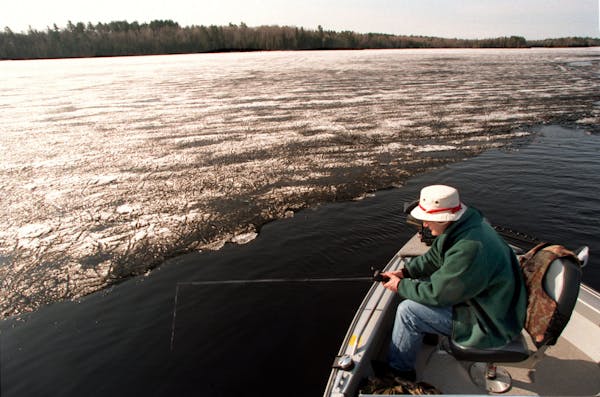 Channels and shoreline were the choices for anglers on White Iron Lake near Ely on the fishing opener in 1996.