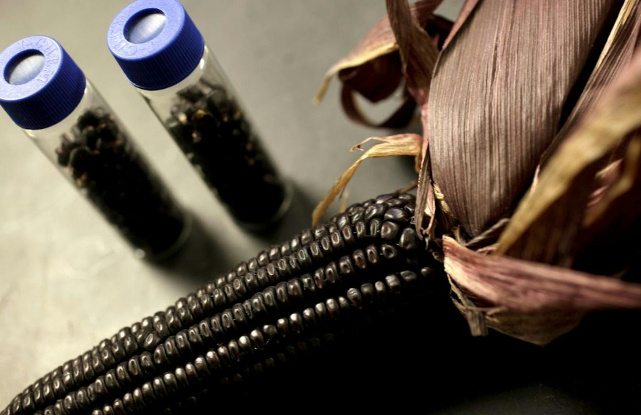 Suntava is a AG biotech firm that takes red corn and turns into natural dyes that it sells to the food industry. (alternatives to Red Dye 40 and other artificial dyes).