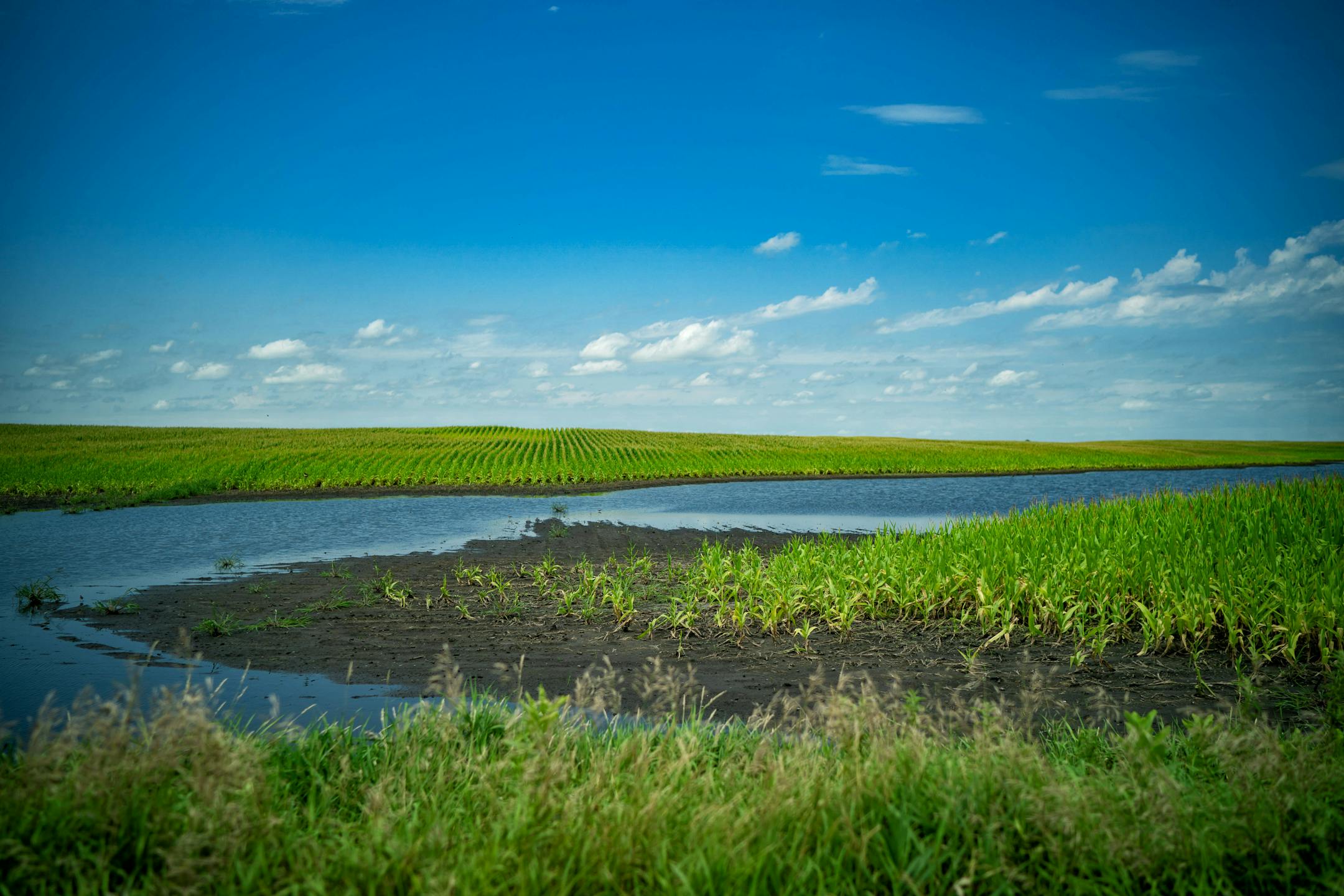 Flood damage seen on a family farm in Madelia last year.