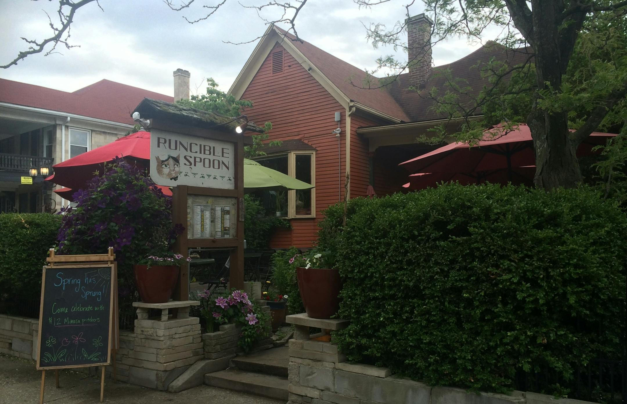 Hippies, students and parents alike have breakfast in the shady garden at Runcible Spoon.