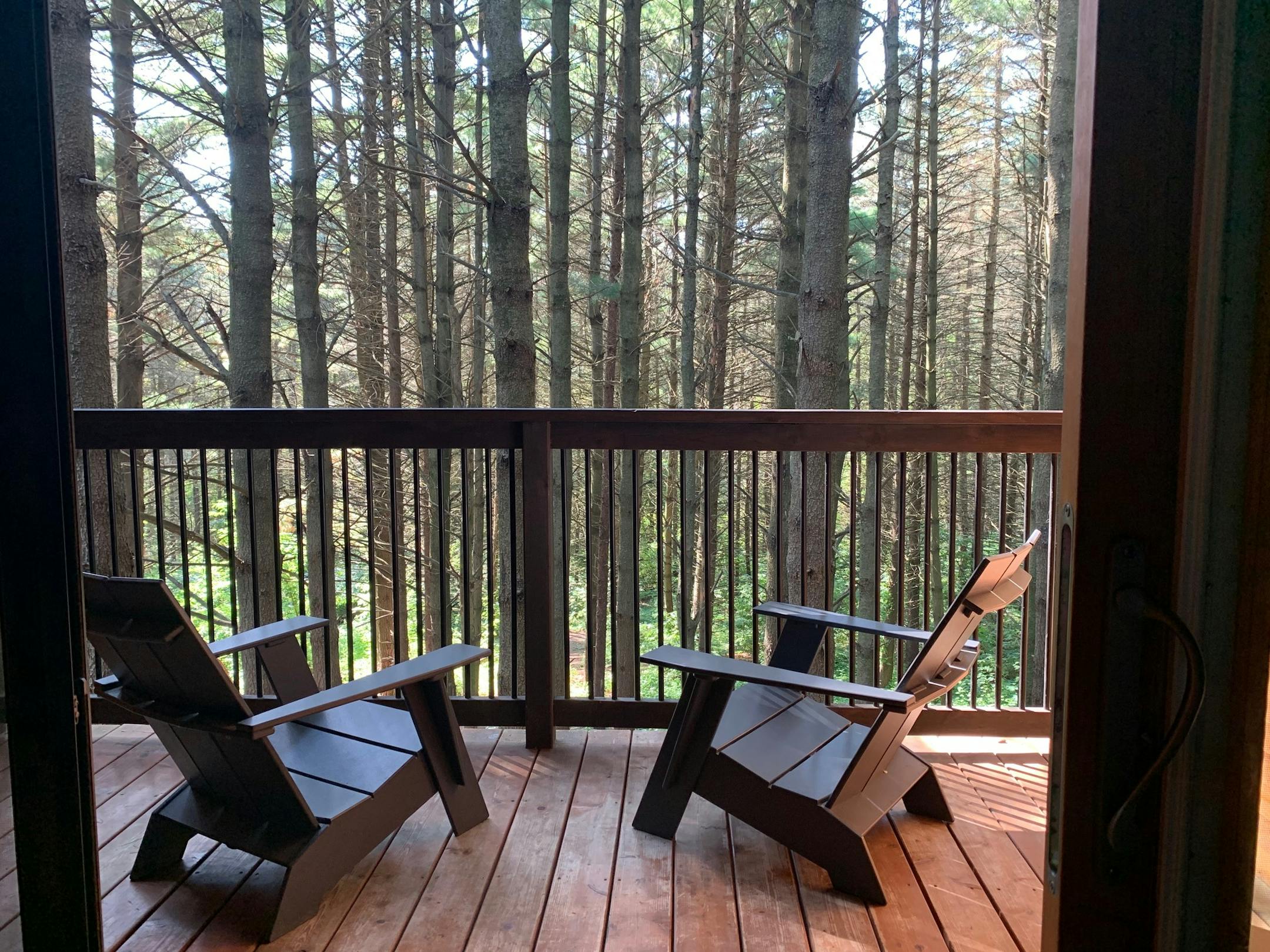 In the Pine Forest camper cabins, glass doors lead onto a deck reaching into a stand of tall trees.