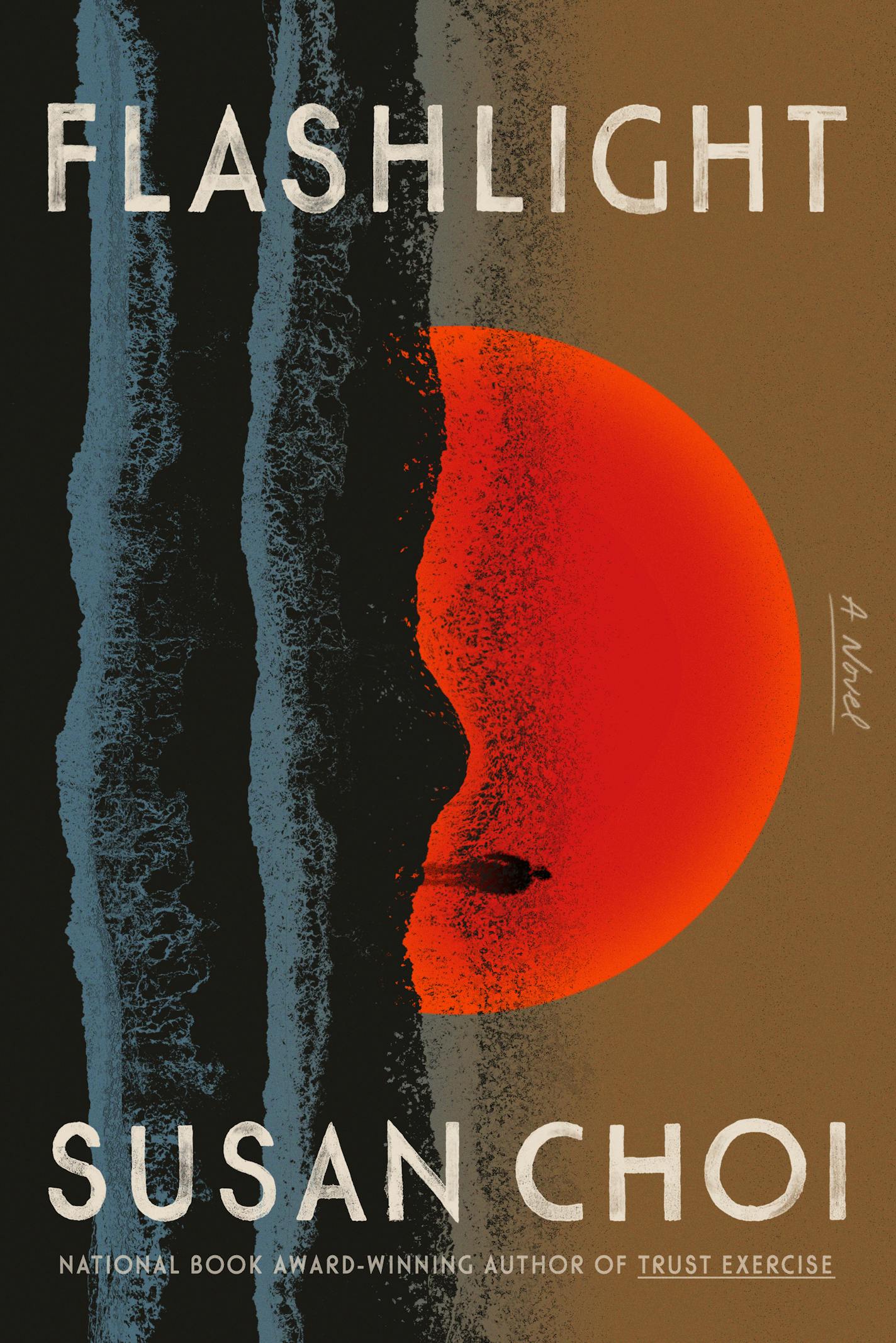 cover of Flashlight is a painting that seems to depict, sideways a sun setting over a body of water. Or possibly a face.