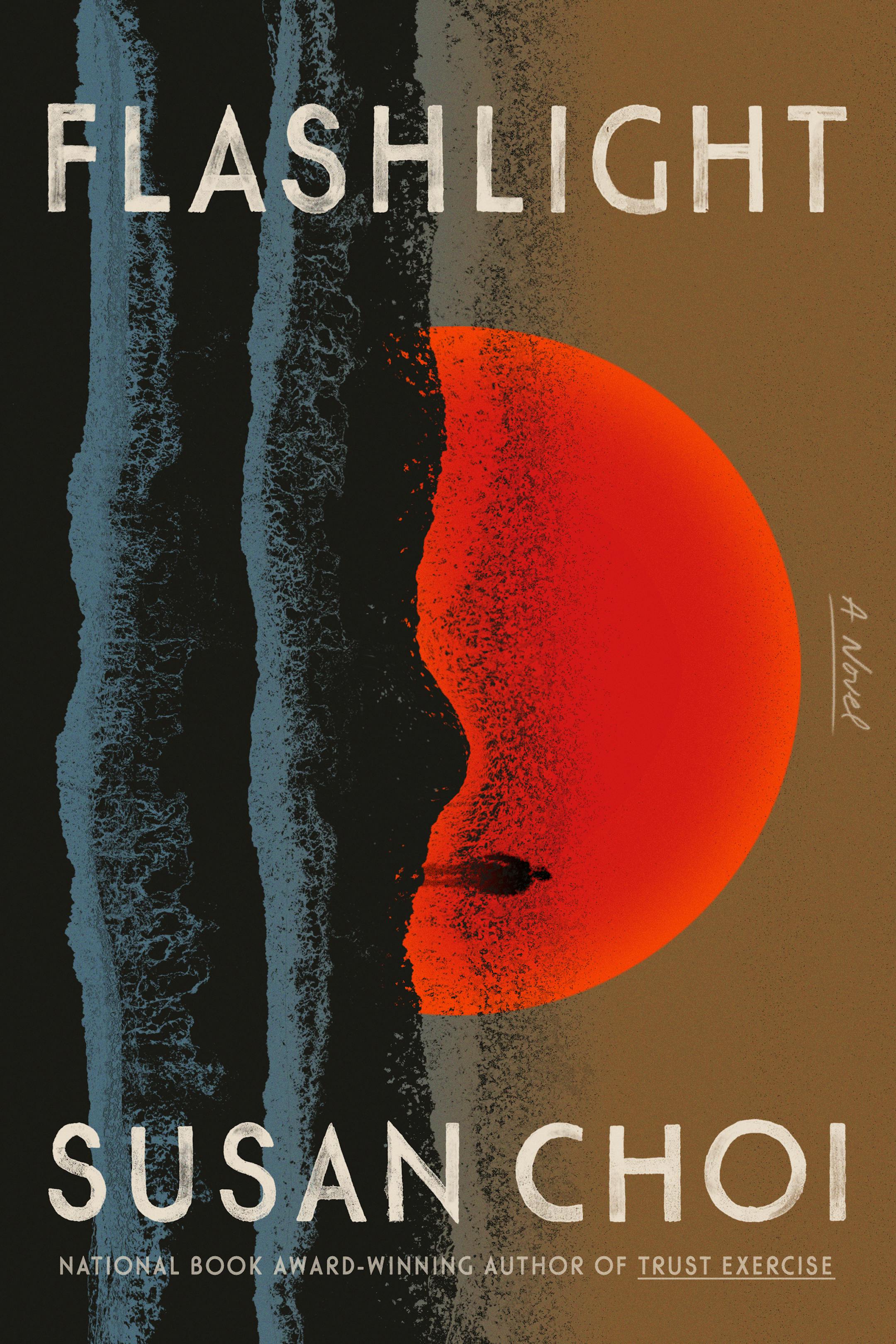 cover of Flashlight is a painting that seems to depict, sideways a sun setting over a body of water. Or possibly a face.
