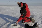 Despite the combination of miserable ice conditions and low fishing pressure on Lake Mille Lacs this winter, anglers have harvested about 8,000 pounds