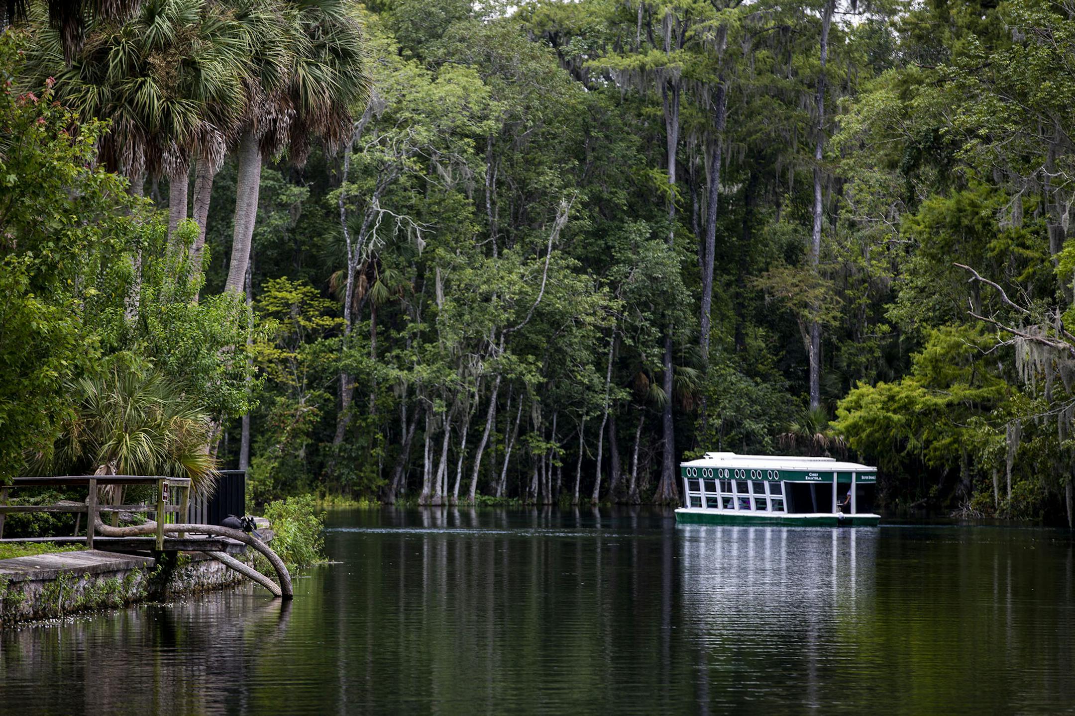 The glass bottom boat tour is a popular attraction at Silver Springs State Park in Florida. (Patrick Connolly/Orlando Sentinel/TNS) ORG XMIT: 1407306