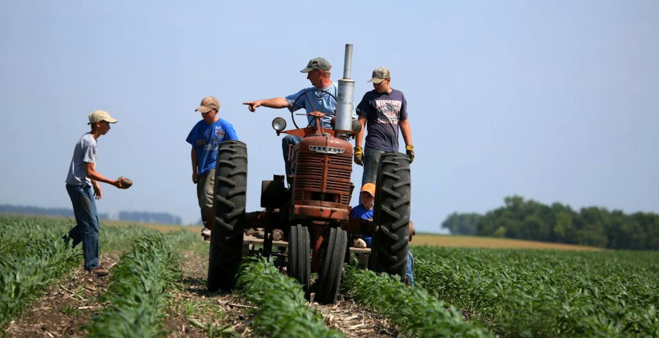 Darwyn Bach and his children spent a recent day picking rocks from a cornfield. He says insurance has fed increases in his farm rent.
