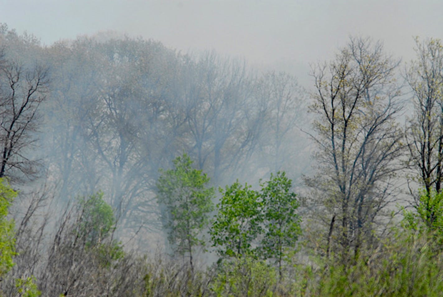 Smoke from wildfires affects wildlife.Jim Williams photo