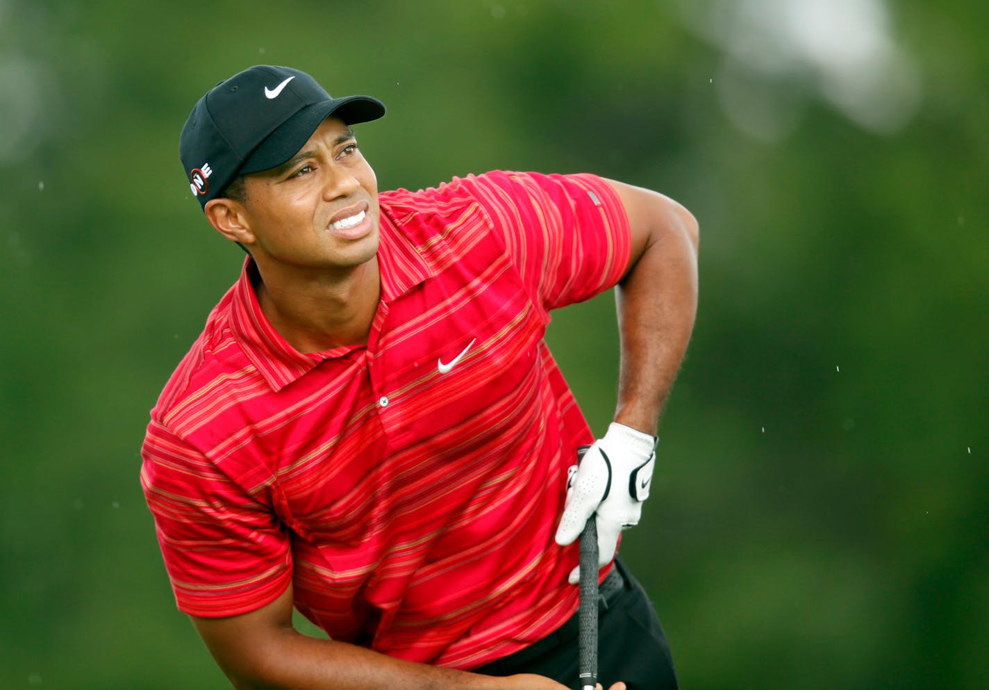 Anthony Souffle-souffle@startribune.com Chaska, MN -8/16/09-Fourth round of the 91st PGA Championship at Hazeltine National Golf Club. IN THIS PHOTO: ] Tiger Woods watches his shot on the third hole.