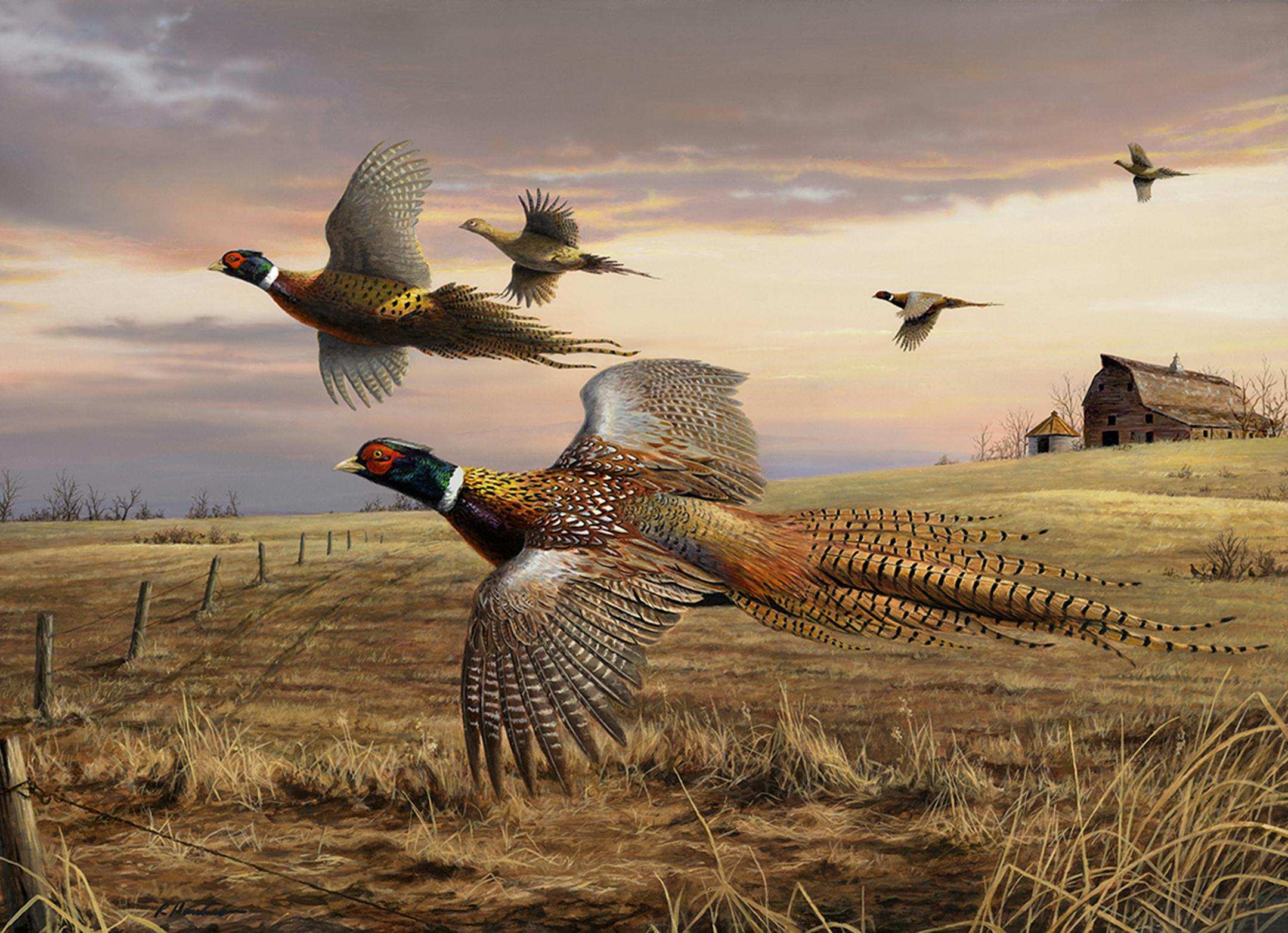 "Royal Flush,'' an original painting for sale from his home studio collection by three-time Federal Duck Stamp winner Robert Hautman