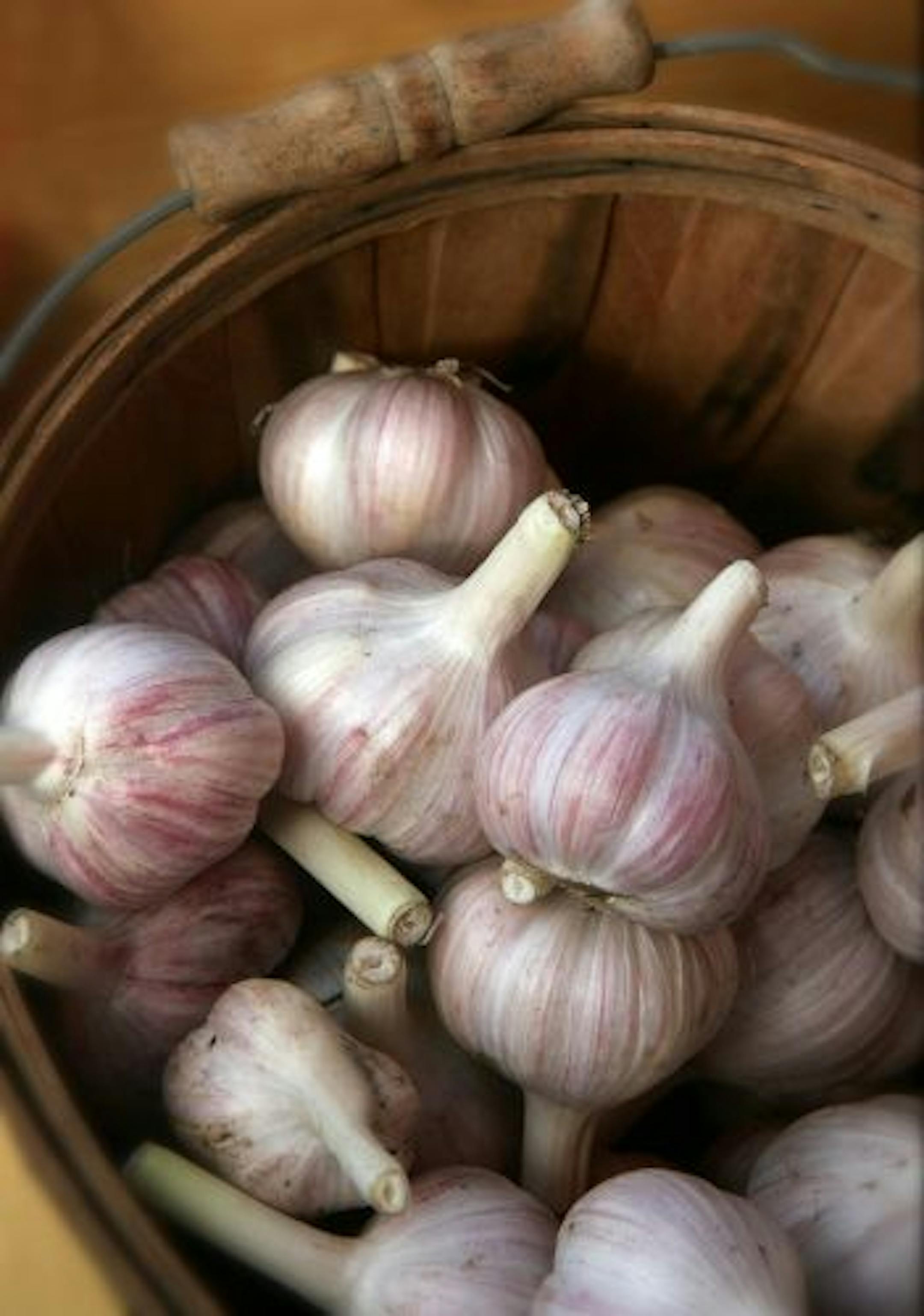 Tom Wallace/Star Tribune For organic0811. Featherstone and Rockspring Farms are Certified Organic, and are selling at the Rochester downtown Farmers Market. From many growers around the city, products of locally produced organic-natural foods, including milk, butter, kettle corn, cookies, syrup, ice cream, soup. Garlic at the Featherstone stand.