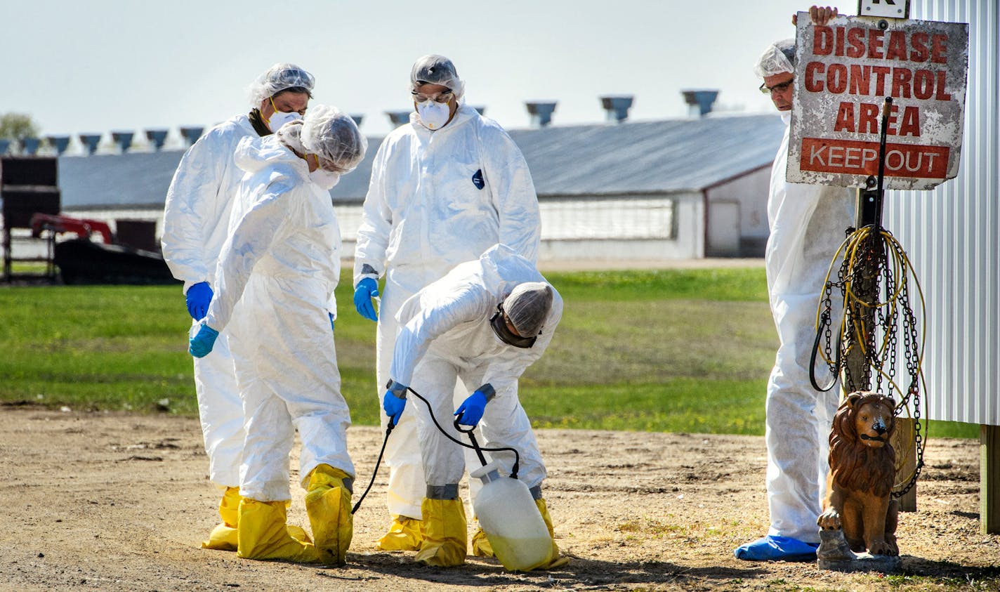 USDA workers disinfected a work crew at a Jennie-O turkey farm in Eden Valley, MN, at the end of a day. Eden Valley is in Meeker County. ] GLEN STUBBE * gstubbe@startribune.com Thursday, April 30, 2015