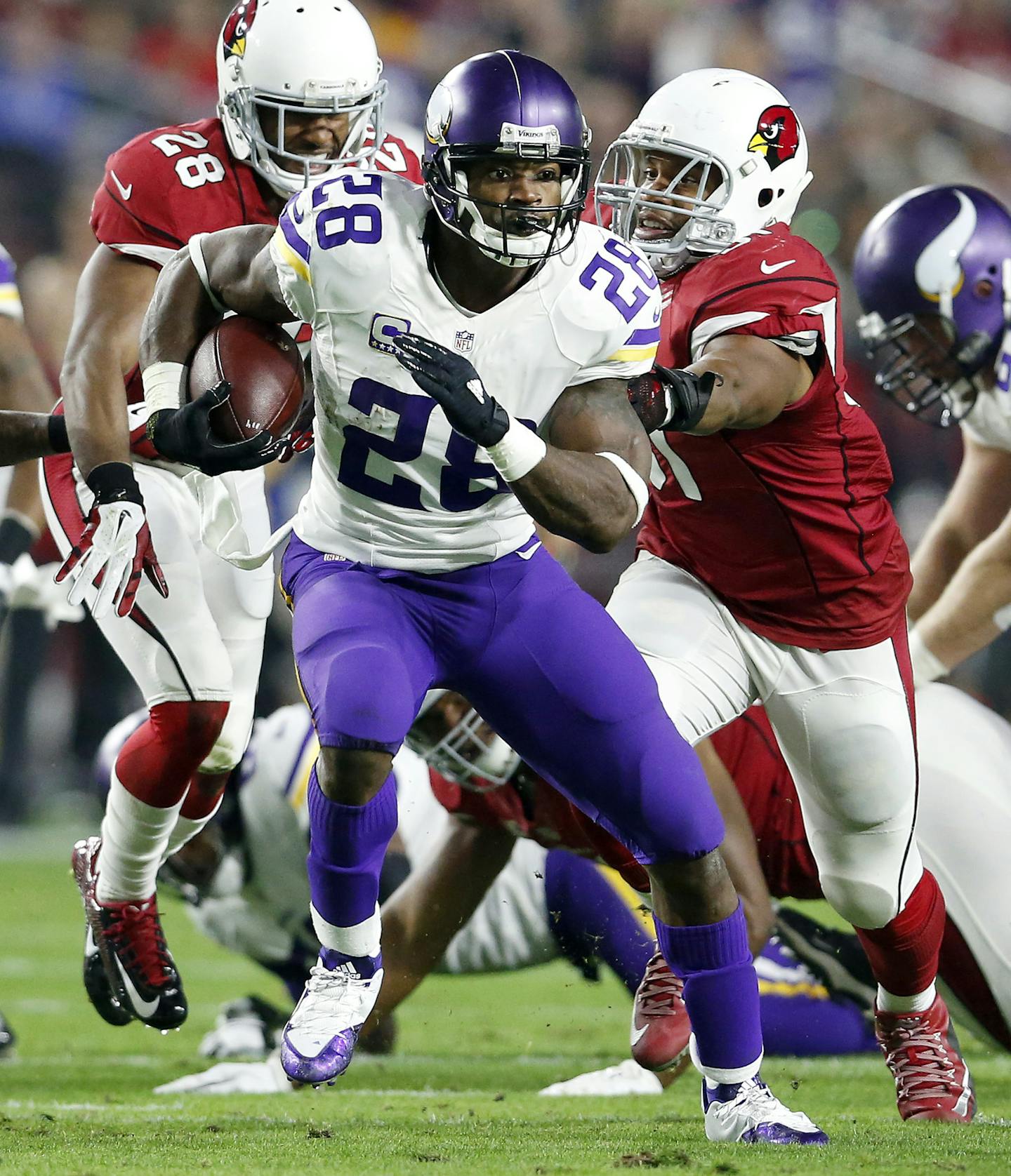 Minnesota Vikings running back Adrian Peterson (28). ] CARLOS GONZALEZ &#xef; cgonzalez@startribune.com - December 10, 2015, Glendale, AZ, University of Phoenix Stadium, NFL, Minnesota Vikings vs. Arizona Cardinals