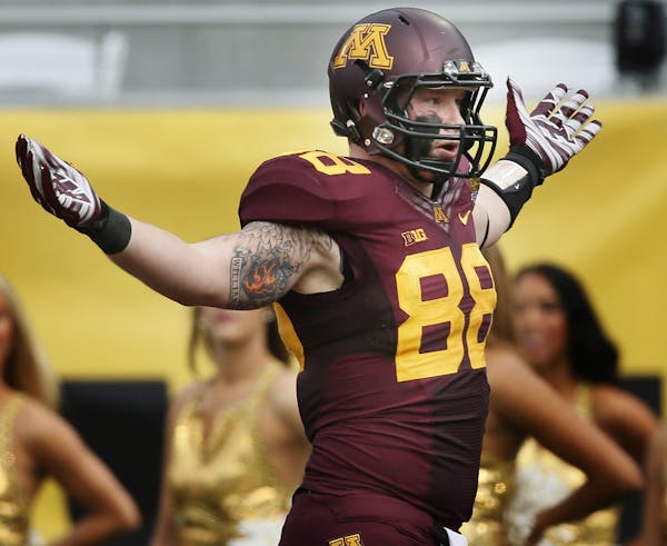 Minnesota Golden Gophers tight end Maxx Williams (88) celebrated his 54 yard touch down catch in the third quarter . The University of Missouri beat M