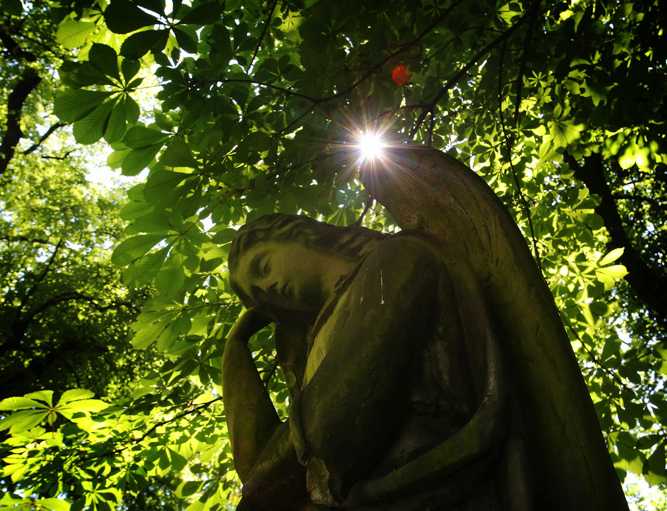 A small flash of afternoon sunlight glitters from the tip of Angel wing on a grave stone in Pragueís Olsany Cemetery. Olsany is the oldest cemetery in Prague, created in 1680 for plague victims that needed to be buried quickly. DAVID JOLES ï david.joles@startribune.com