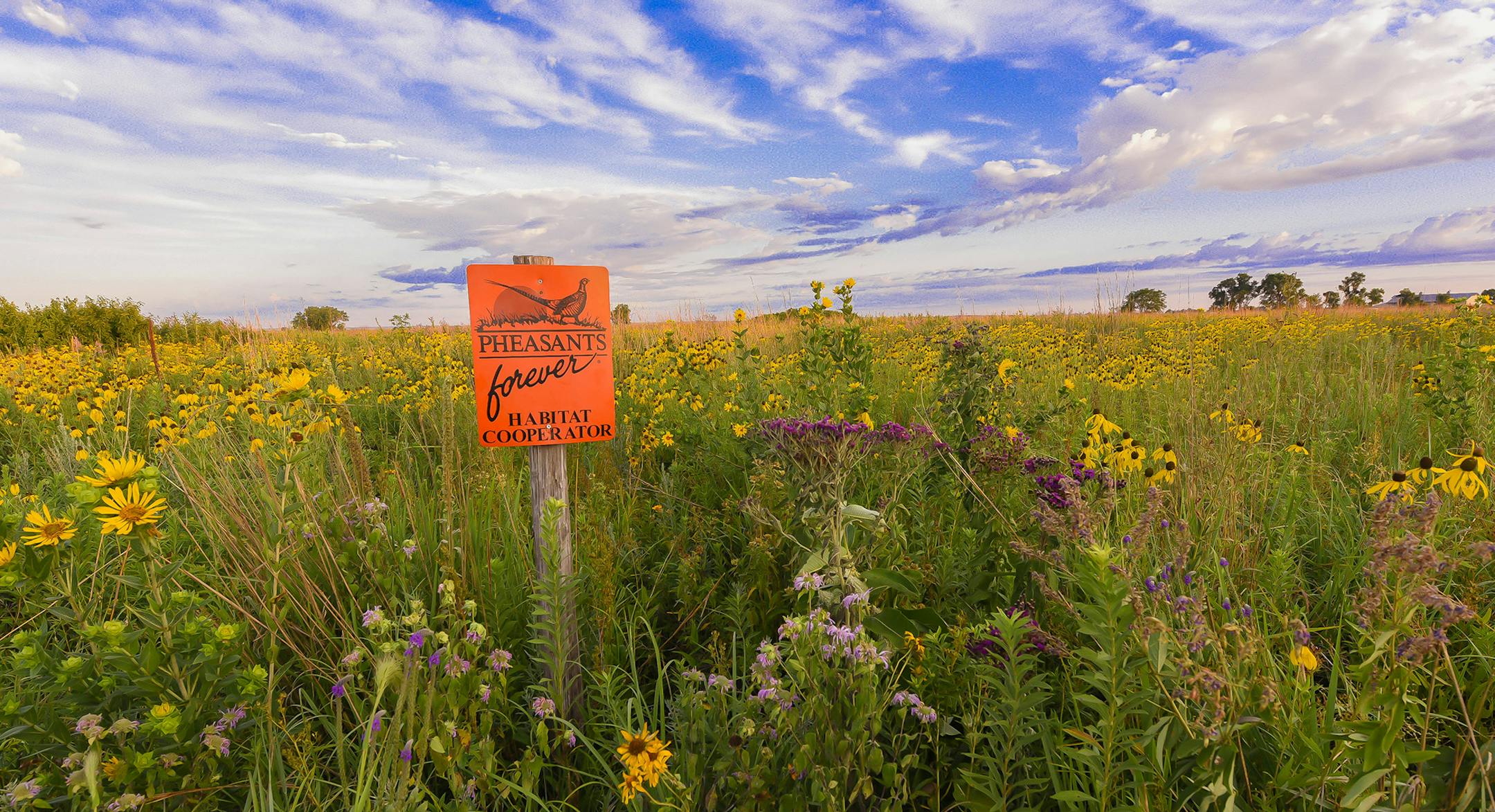 Habitat cooperator, for Outdoors Weekend