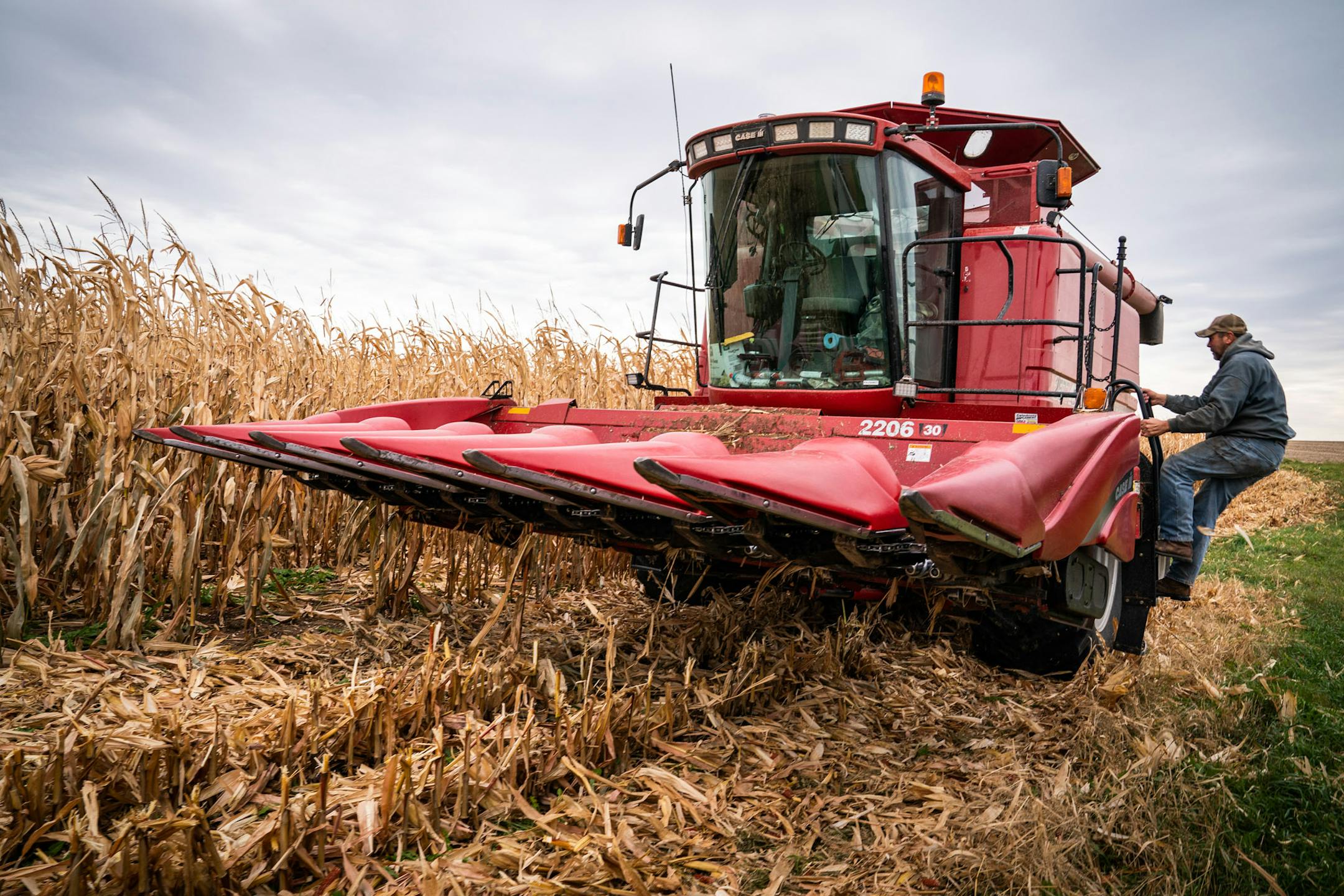 Farmer David Tessmer got into a combine to harvest corn on his in-laws' property near Caledonia. "It's here. Let's face it," said Tessmer of COVID-19. "Once it's here you don't stop it, you just deal with it best you can. Wear the mask and take precautions where you can."