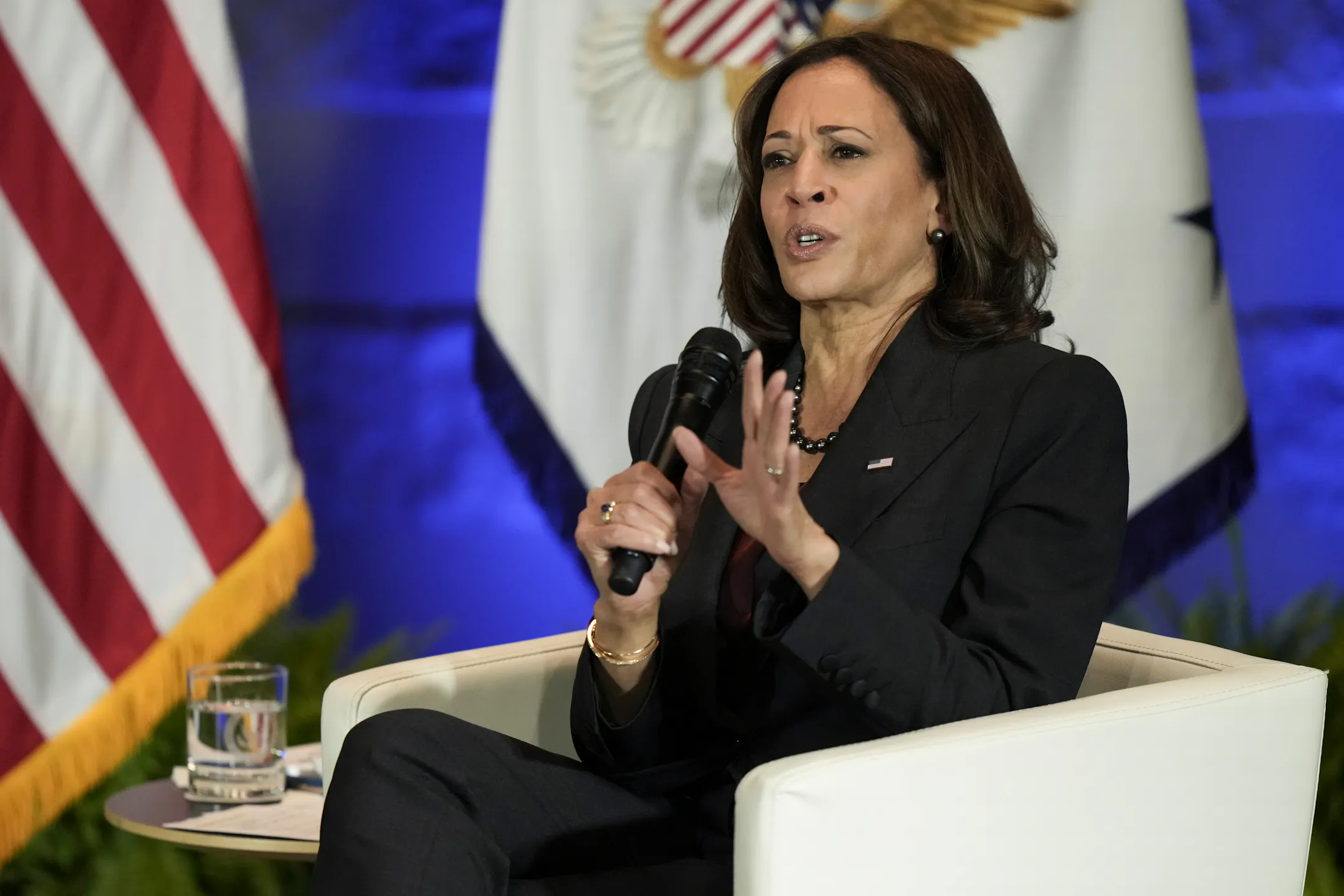 Vice President Kamala Harris issues call to action on abortion during ...
