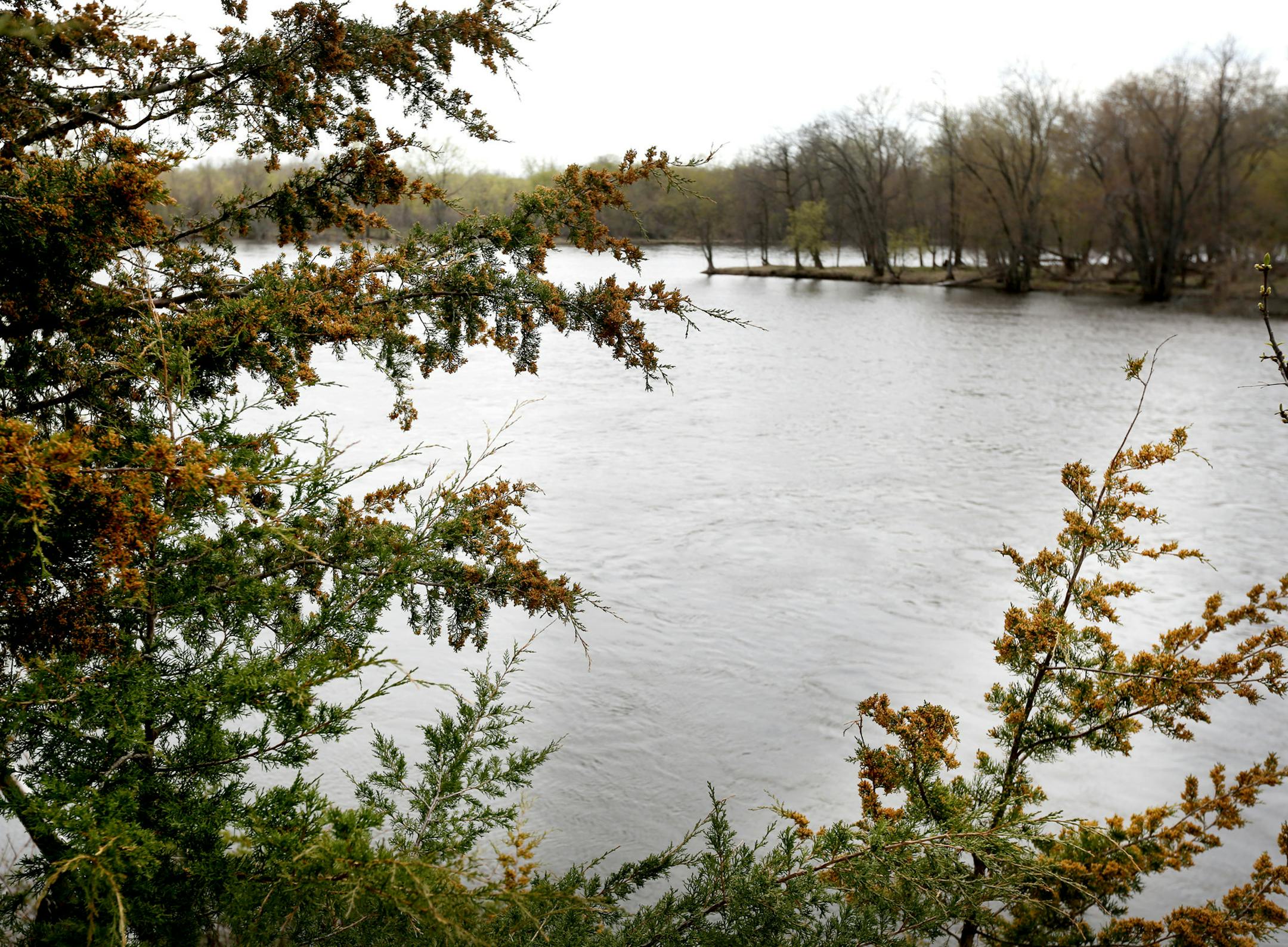 Mississippi West Regional Park in Ramsey. So far just 10 percent of the money Minnesota voters made available to protect, enhance and restore the state wildlife habitat has been spent on wildlife habitat in the metro area. Whether that is as it should be or a slight to the state population center has ignited political debate as the Legislature prepares to approve another round of the spending made possible by voter approval of the 2008 Legacy Amendment. Monday May 13, 2013 Ramsey, MN. ] JERRY HO