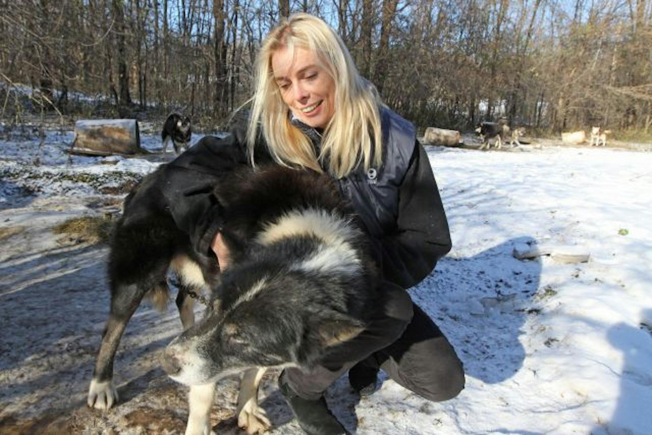 Polar explorer and educator Mille Porsild held Disko, her lead dog of her team of twenty two dogs she kennels at her Afton home.