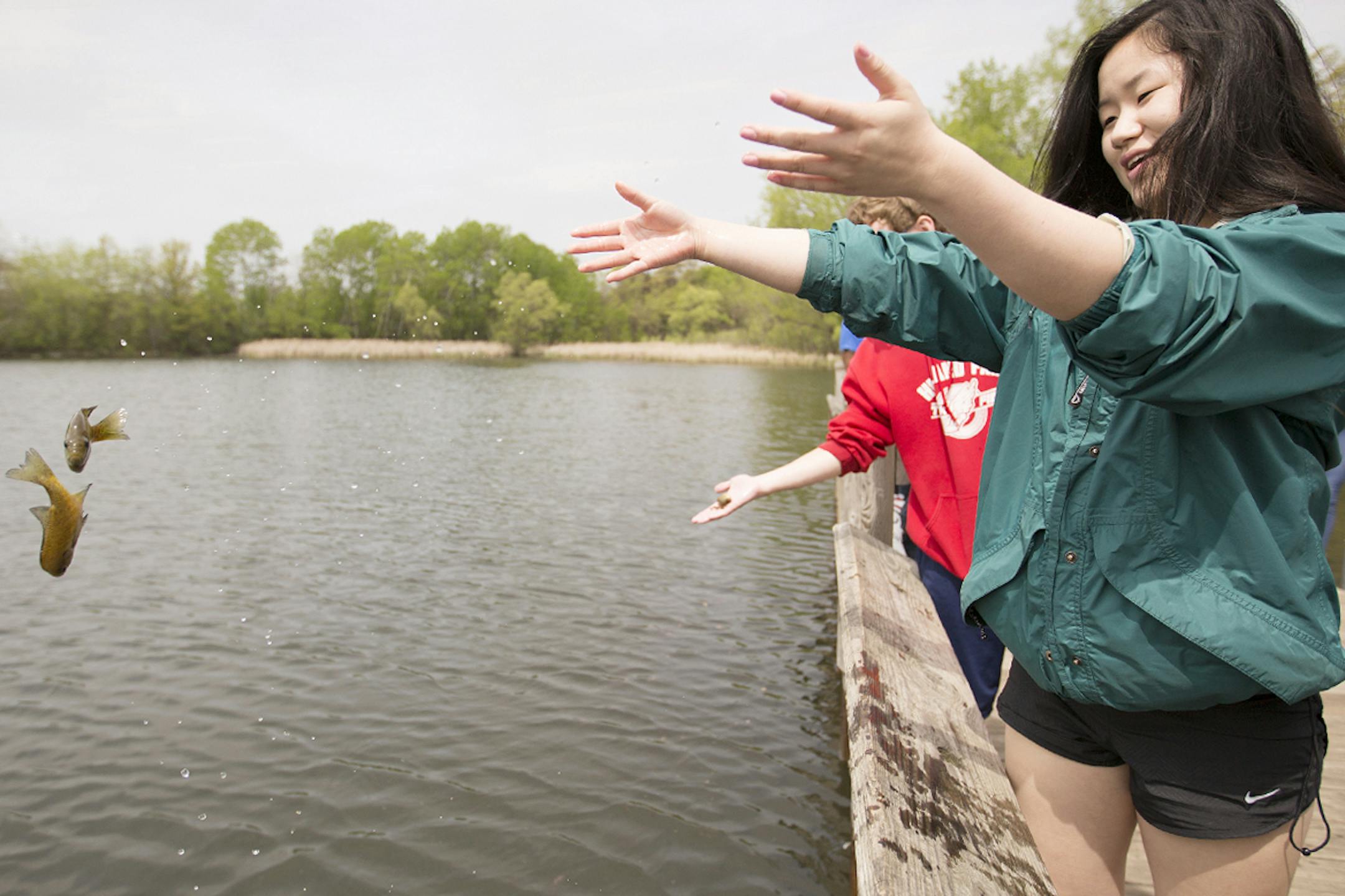 Highland Park High School freshman Sarah Lind-MacMillan, 15, throws fish into Thompson Lake in West St. Paul on Wednesday, May 6, 2015. ] LEILA NAVIDI leila.navidi@startribune.com / BACKGROUND INFORMATION: The Highland Park High School students, as part of their Fish and Wildlife Management class, were participating in the Minnesota Department of Natural Resources program Fishing in the Neighborhood (FiN), which helps to encourage urban fishing by stocking small bodies of water in the metro area
