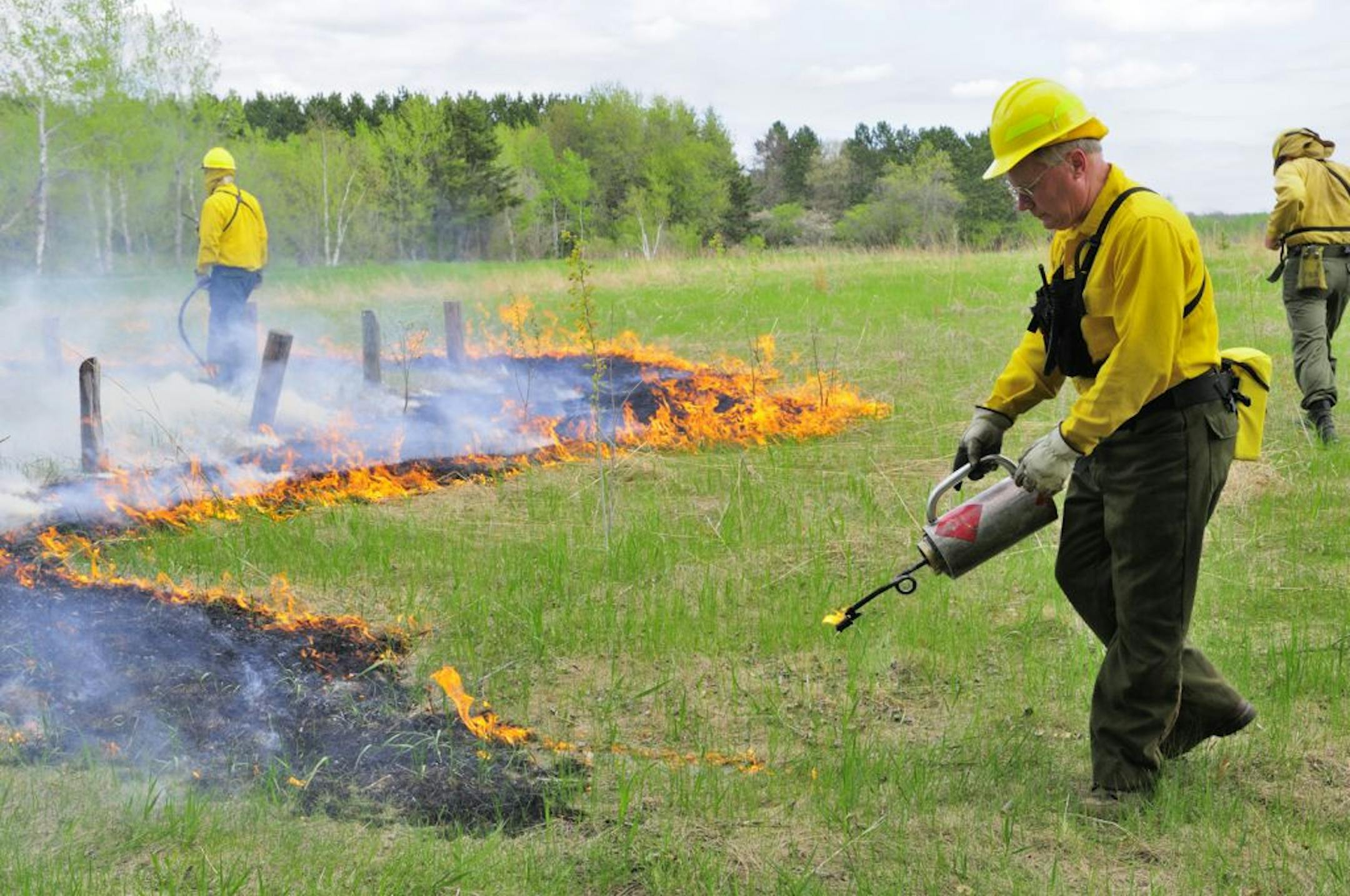 Gary Drotts, center, Area Wildlife Manager stationed in Brainerd, uses a drip torch to ignite a controlled burn at the Ray Cook WMA near Brainerd.
