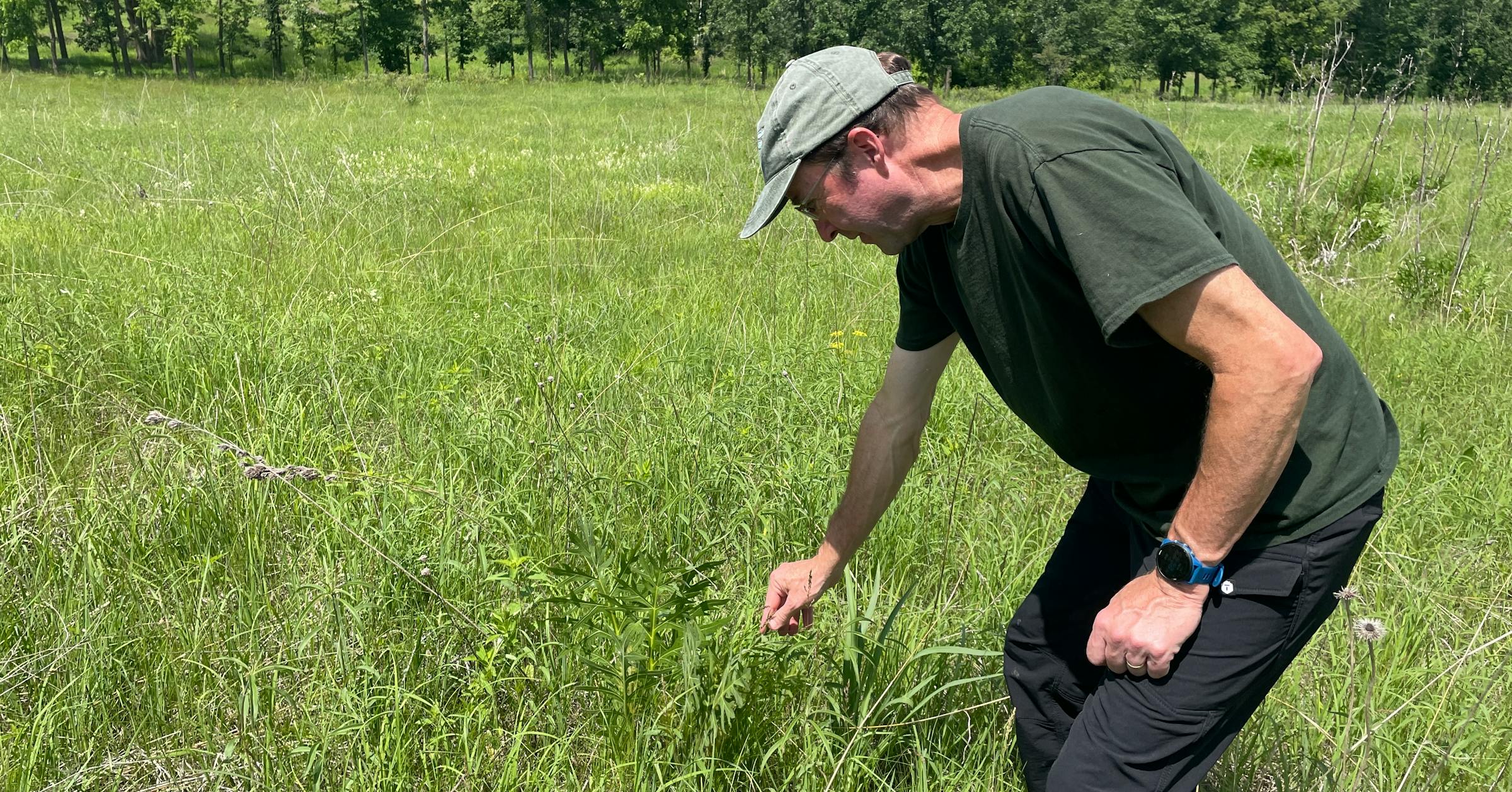 Private conservation crucial for Minnesota’s prairie remnants Private conservation crucial for Minnesota’s prairie remnants