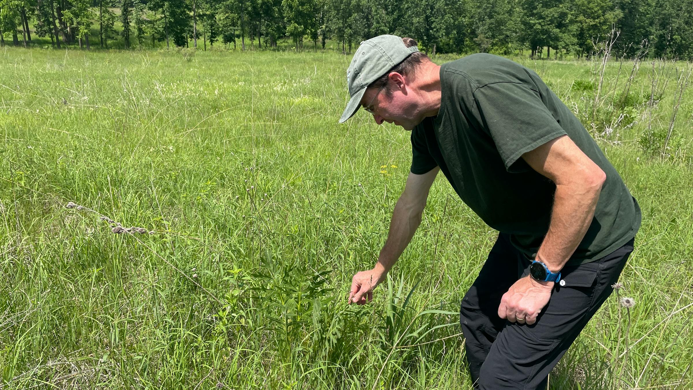 Private conservation crucial for Minnesota’s prairie remnants