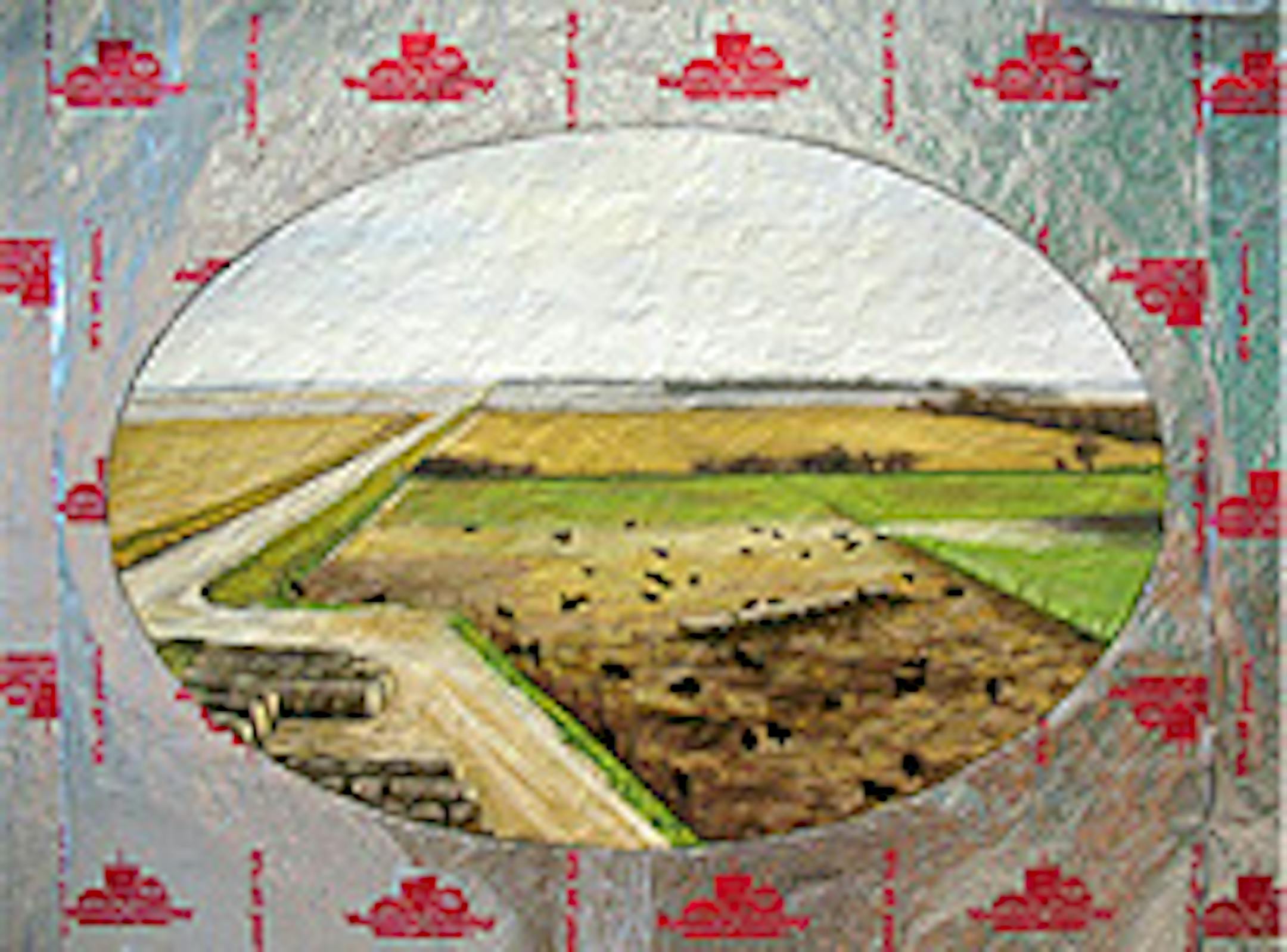 "View from Atop" by Chad Rutter