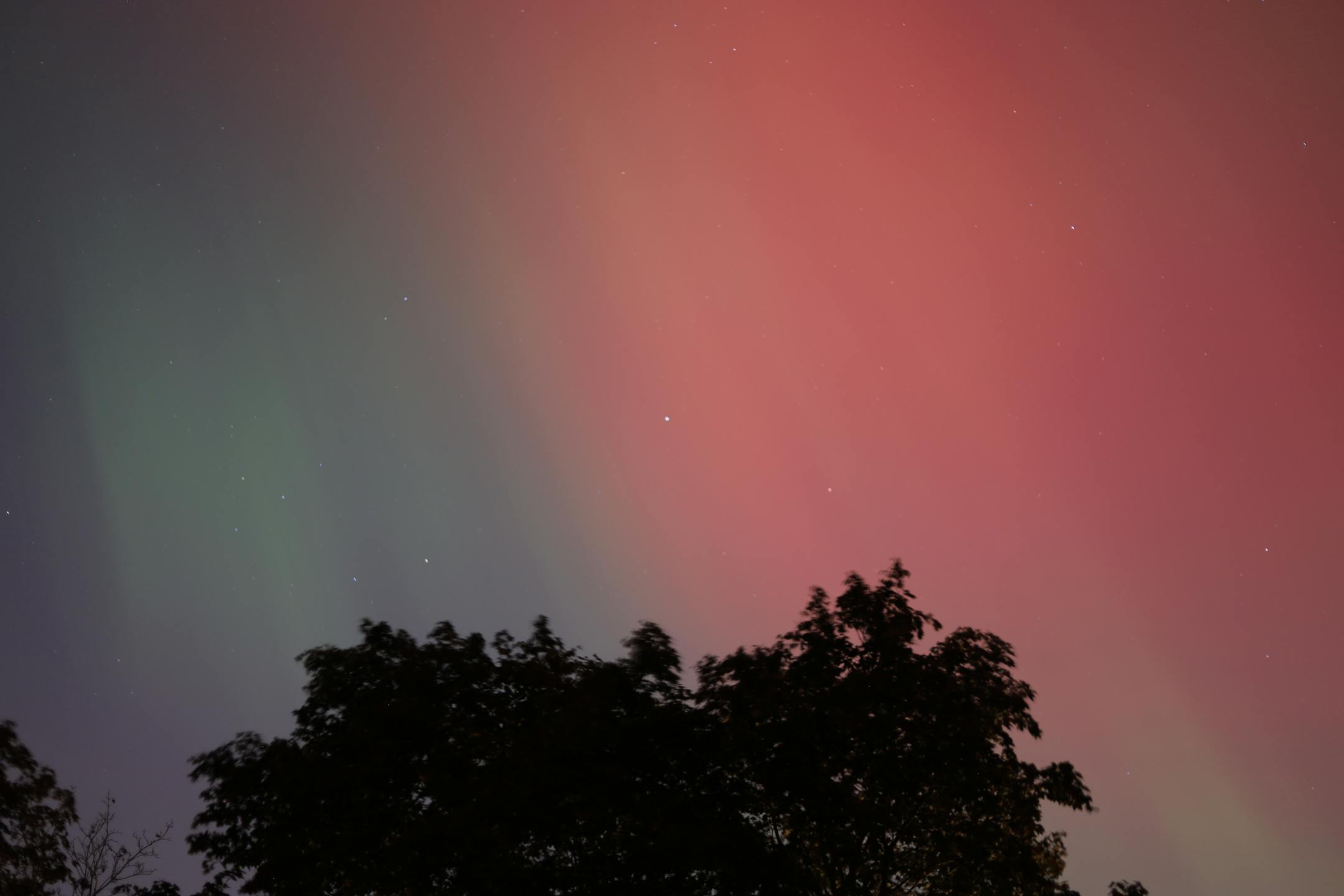 The northern lights.